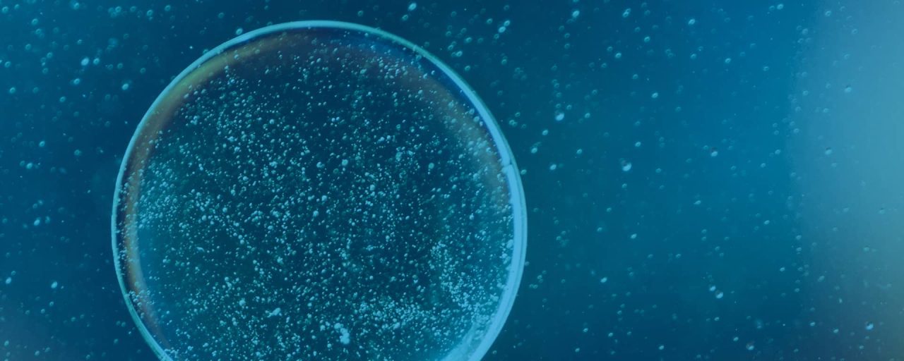 Ética en la investigación - VRID