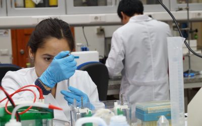 Más de 50 propuestas de científicos y científicas jóvenes UdeC fueron seleccionadas para financiamiento ANID