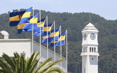 Universidad de Concepción se posiciona en el 2° lugar nacional en Ranking Nature Index Research Leaders 2025