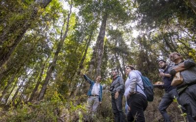 Seminario de Campus Naturaleza invita a investigar en torno a biodiversidad, restauración ecológica y bienestar