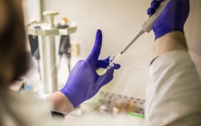 Financiamiento interno UdeC apoyará la continuidad de proyectos de investigación en diversas áreas