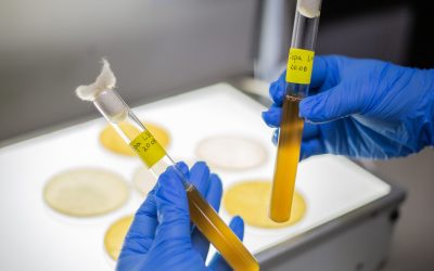 UdeC ratifica su posición de avanzada en concurso ANID de I+D aplicada