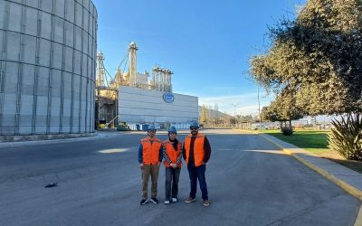 Desafío de innovación: dos proyectos ganadores de concurso de Agrosuper y HUBTEC provienen de la Universidad de Concepción