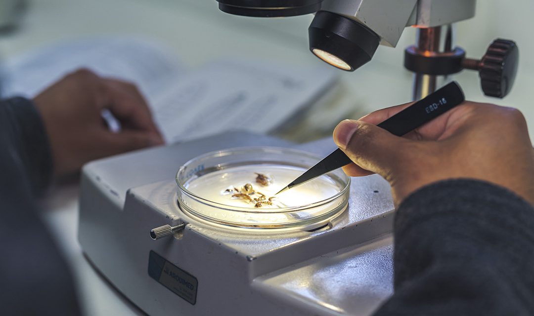 VRID abre tres nuevos concursos internos para fortalecer las capacidades de investigación en la UdeC